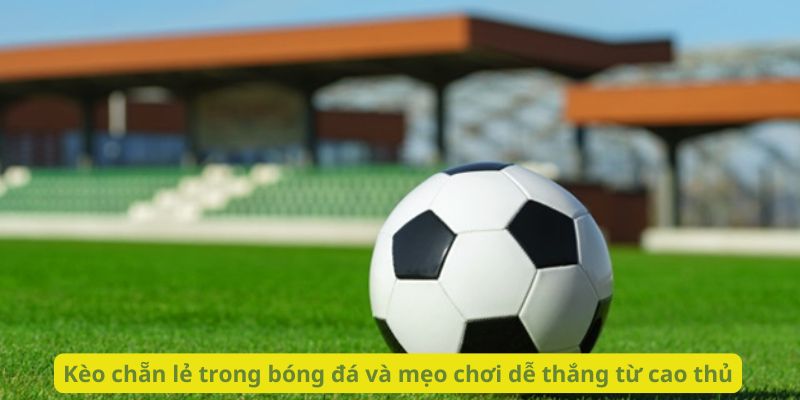 Kèo chẵn lẻ trong bóng đá và mẹo chơi dễ thắng từ cao thủ